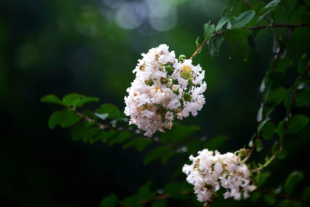 入秋杂拍    色彩纷繁的季节（一）