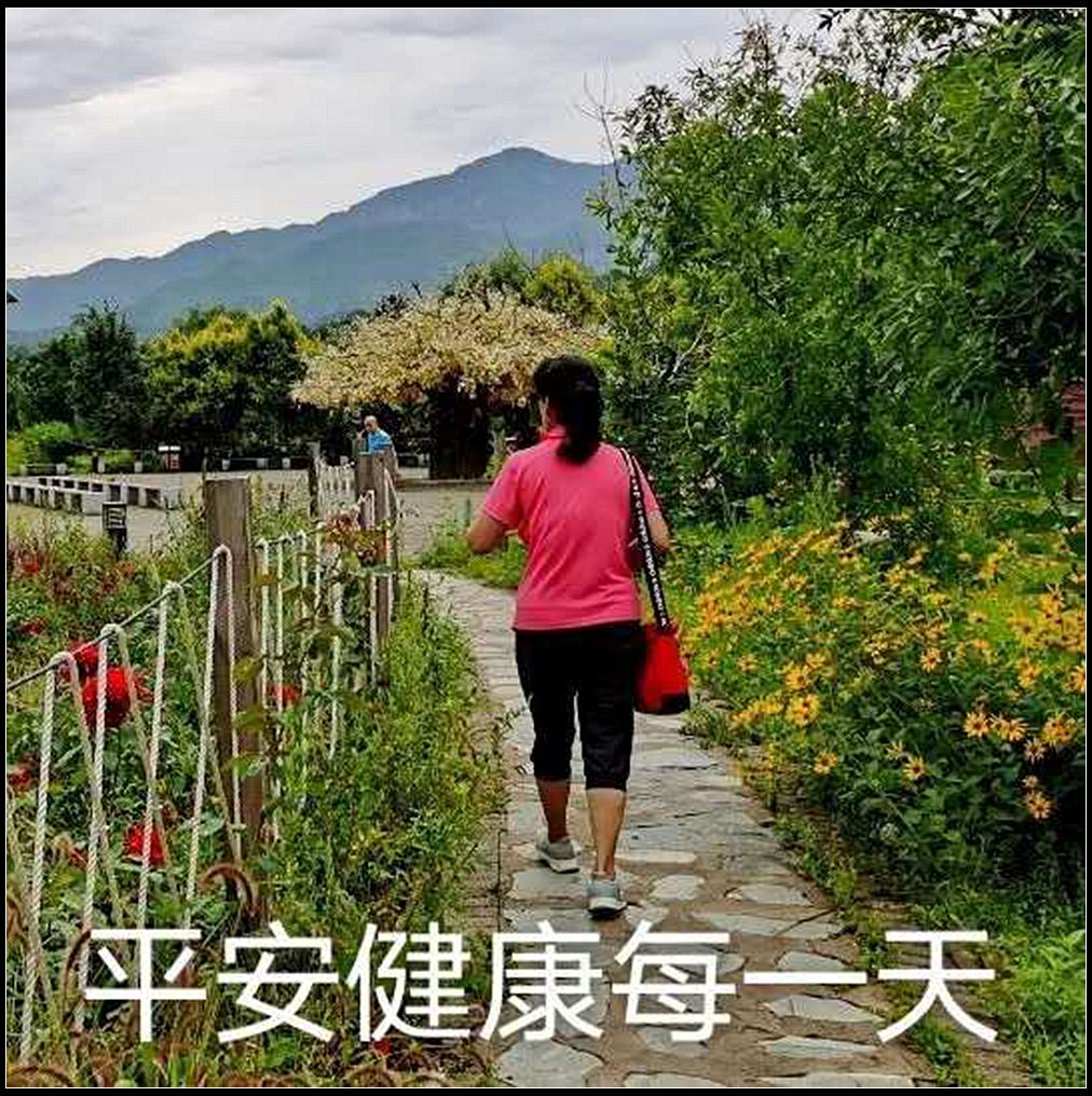 【每日一图，天天问候】3.人文——夏季篇