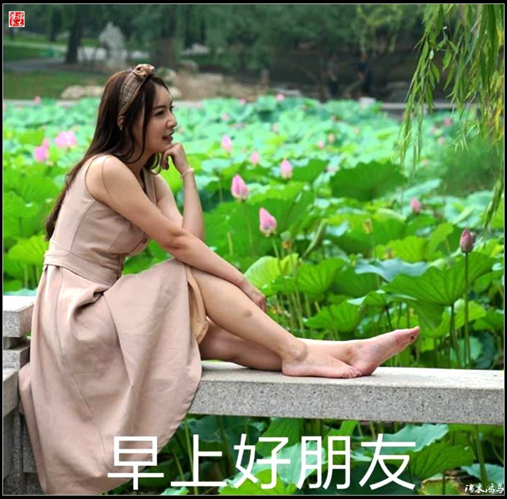 【每日一图，天天问候】3.人文——夏季篇