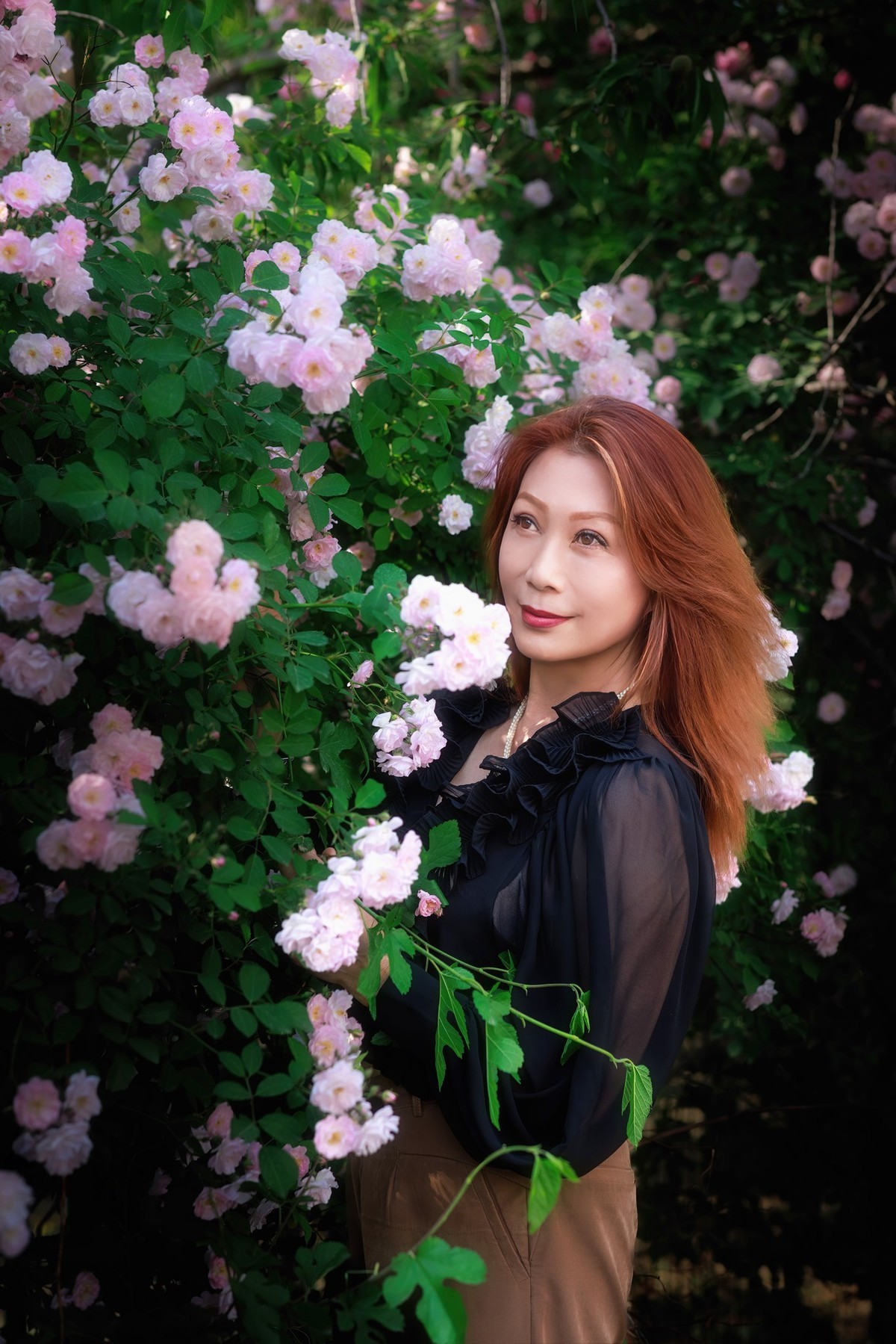 2023年5月8日奥森北园蔷薇花