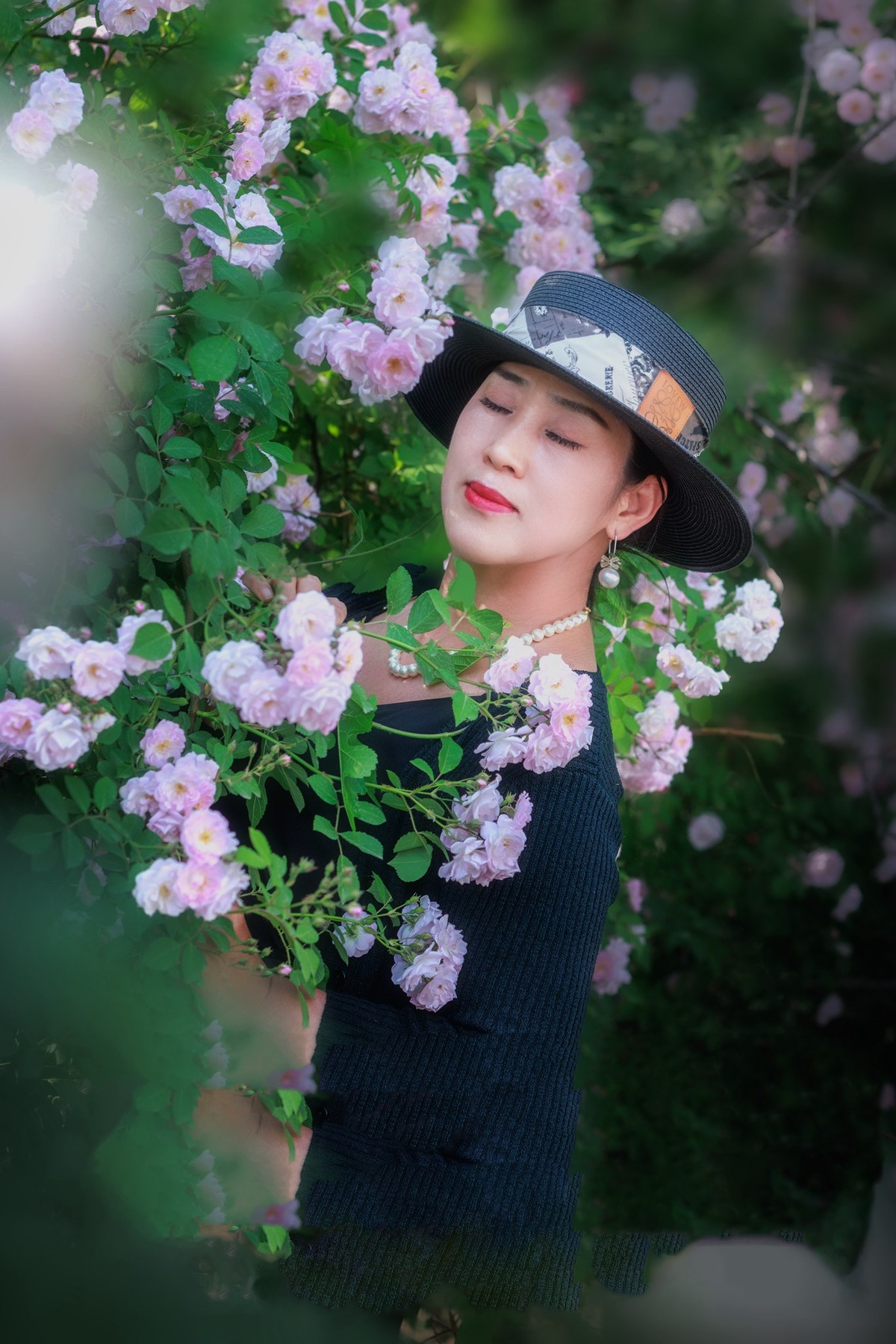 2023年5月8日奥森北园蔷薇花