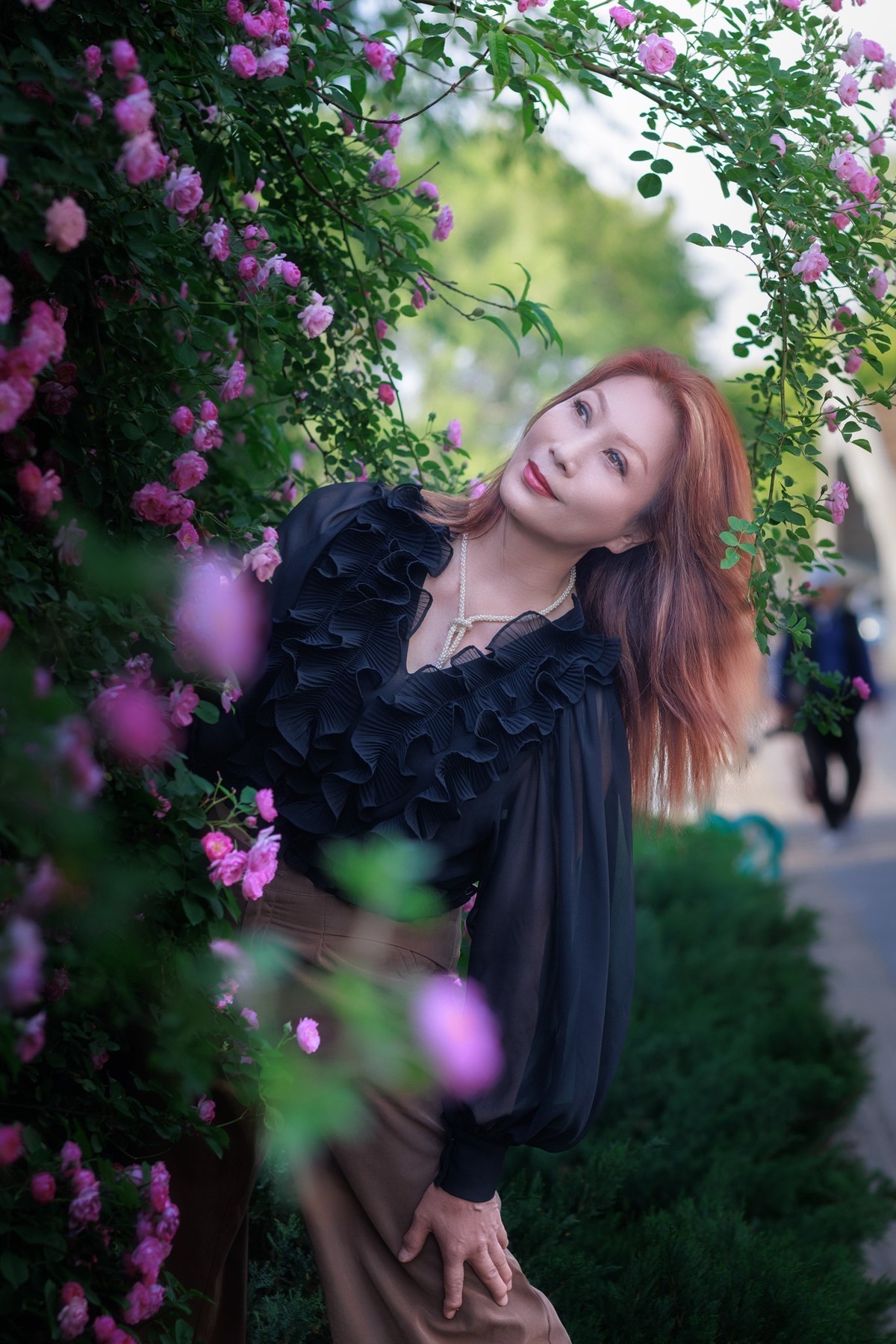 2023年5月8日奥森北园蔷薇花