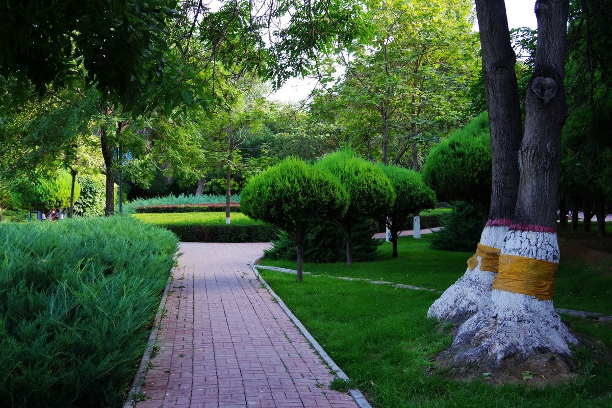 淘了个宾得K70带18-135套机！