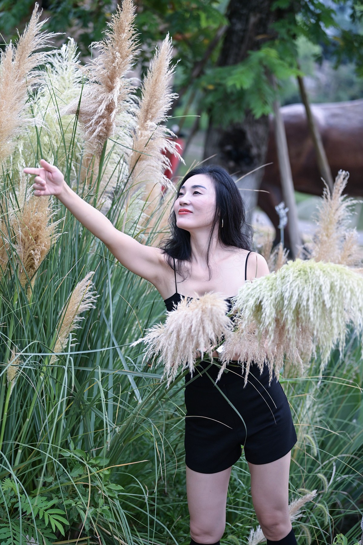 美女写真系列?