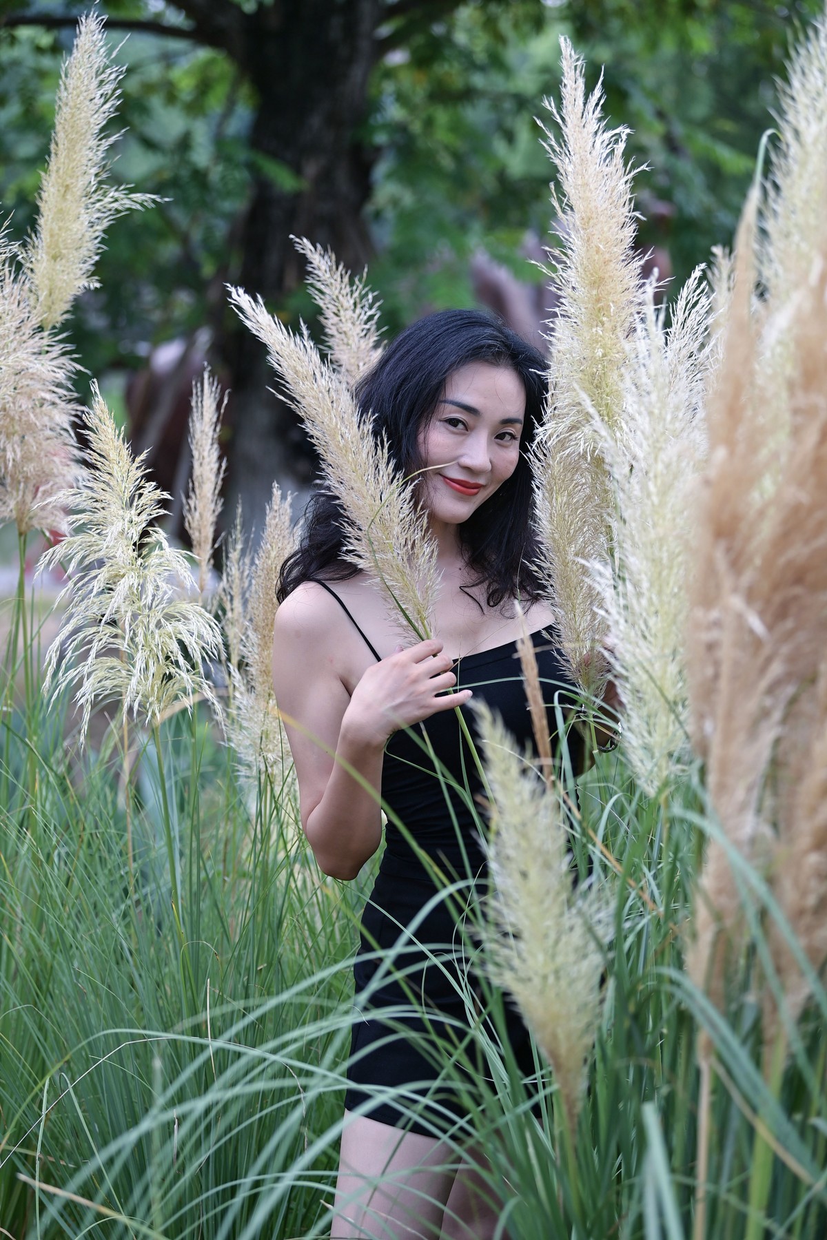 美女写真系列?