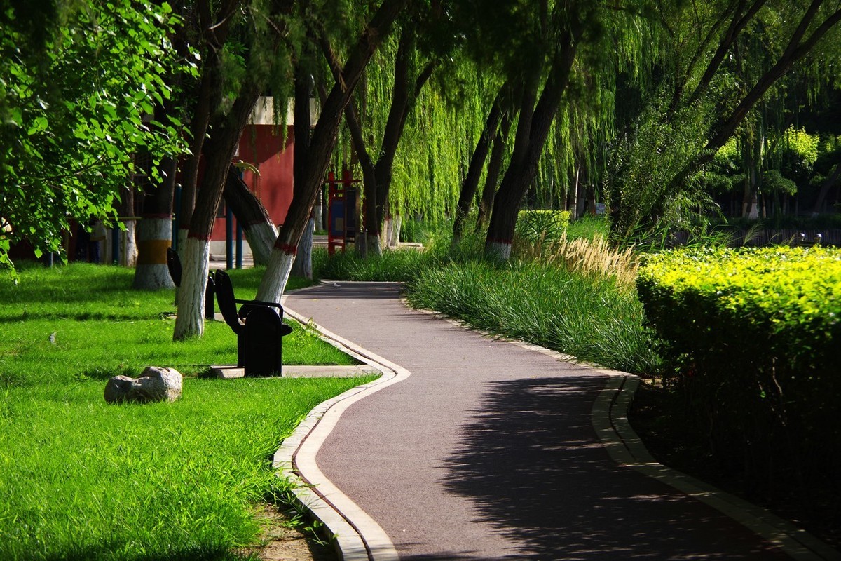 宾得的直出色彩确实很不错！