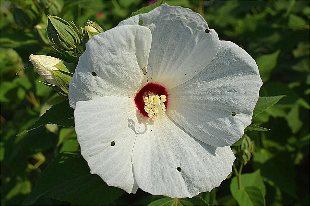 ——随拍·～～