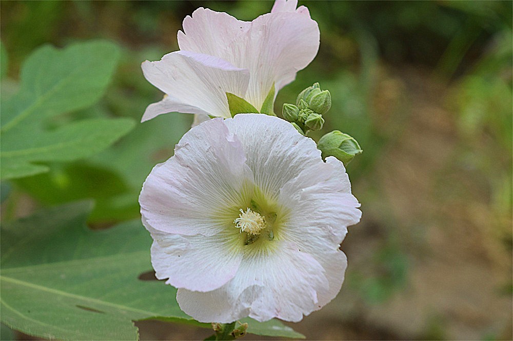 ——随拍·～～