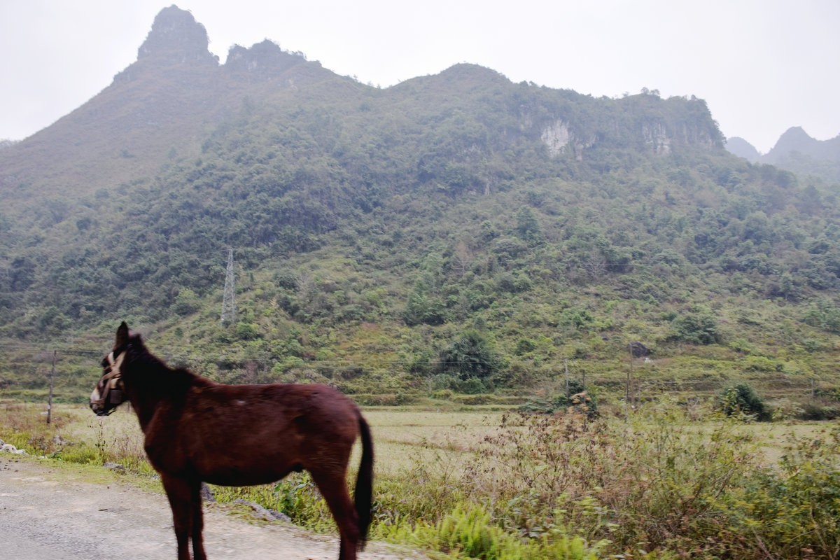 2024春节 滇桂沿边行（77）靖西山水不输桂林
