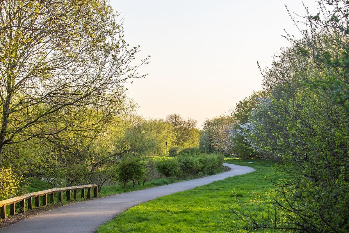 春光与绿色（二）