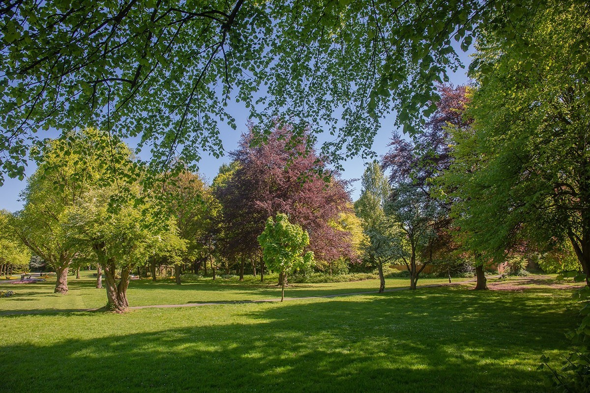 春光与绿色（二）