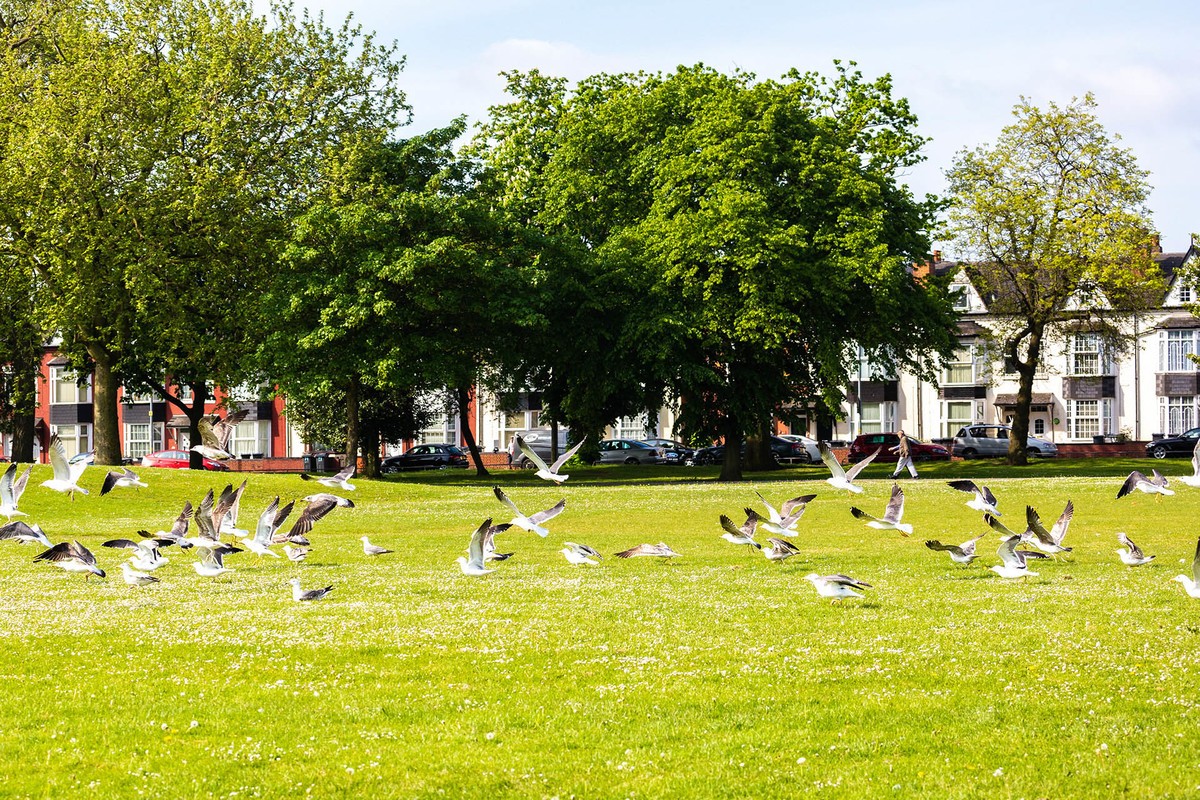 春光与绿色（二）