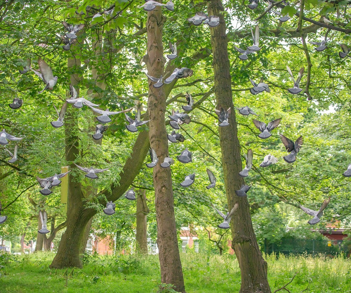 春光与绿色（二）