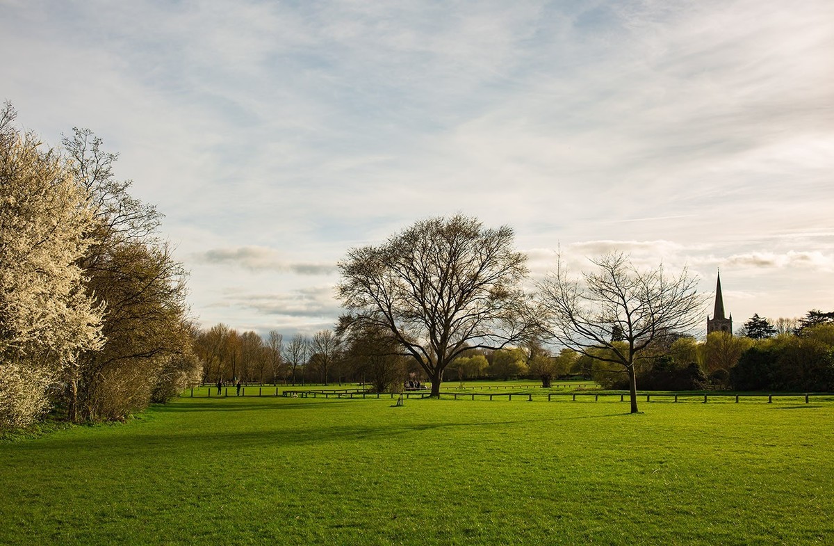 春光与绿色（二）
