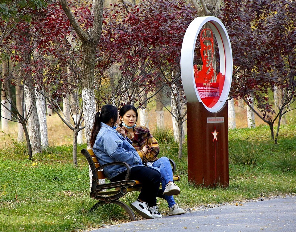 10【不老松：纪实摄影】晚秋既将逝去。初冬随即来临！拍自沧州長芦公园！《01》