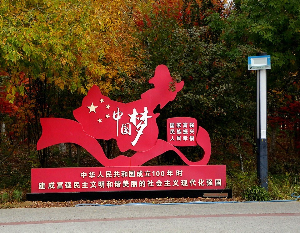 10【不老松：纪实摄影】晚秋既将逝去。初冬随即来临！拍自沧州長芦公园！《01》