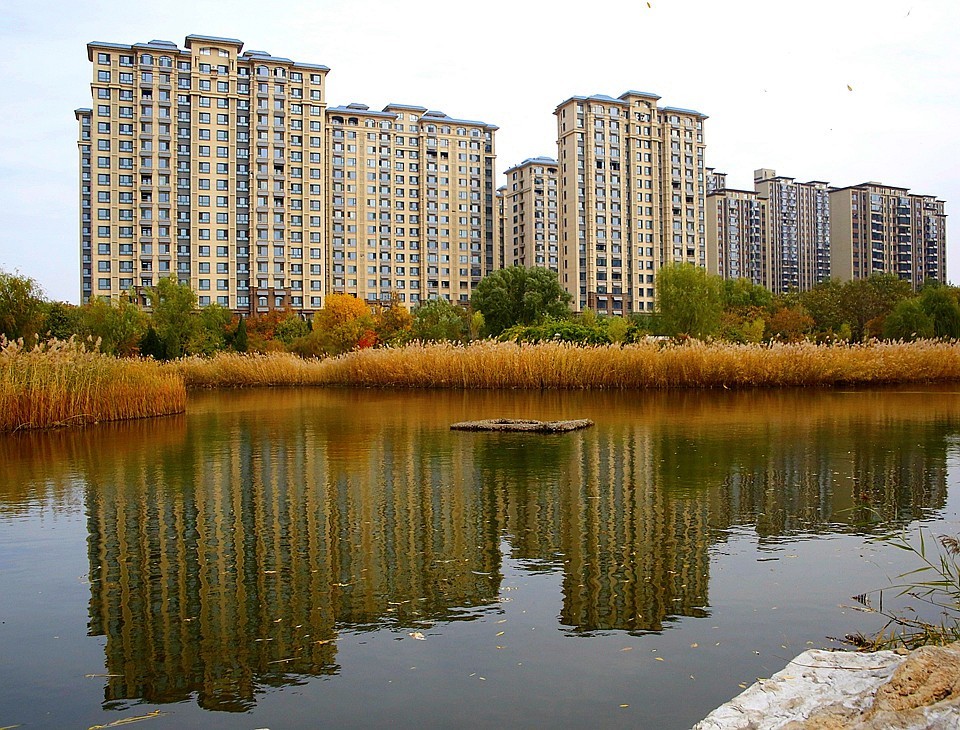 10【不老松：纪实摄影】晚秋既将逝去。初冬随即来临！拍自沧州長芦公园！《02》