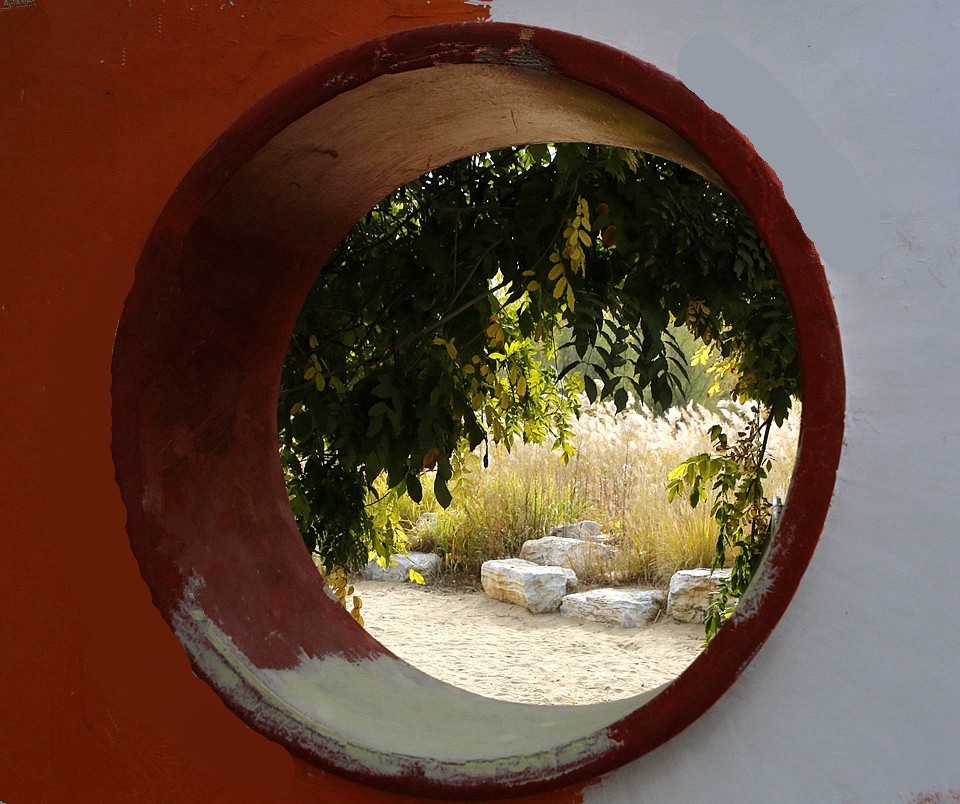 10【不老松：纪实摄影】晚秋既将逝去。初冬随即来临！拍自沧州長芦公园！《02》