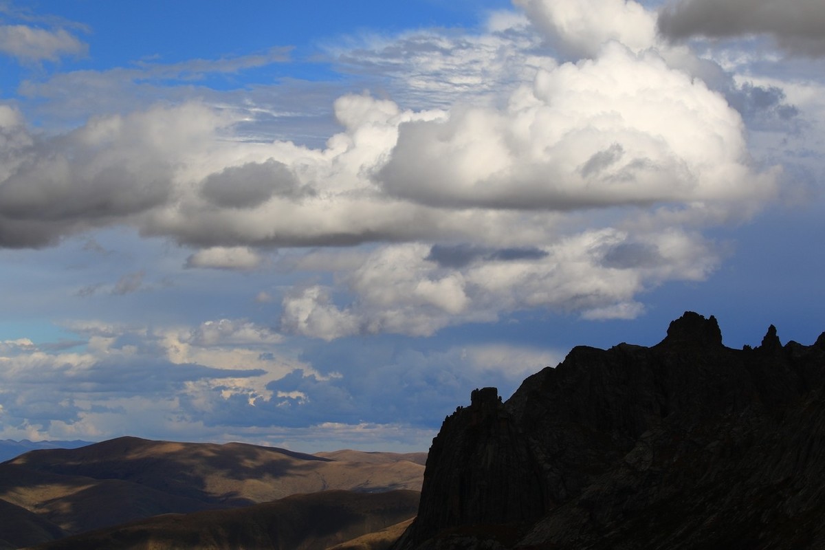 长焦拍了几张莲宝叶则