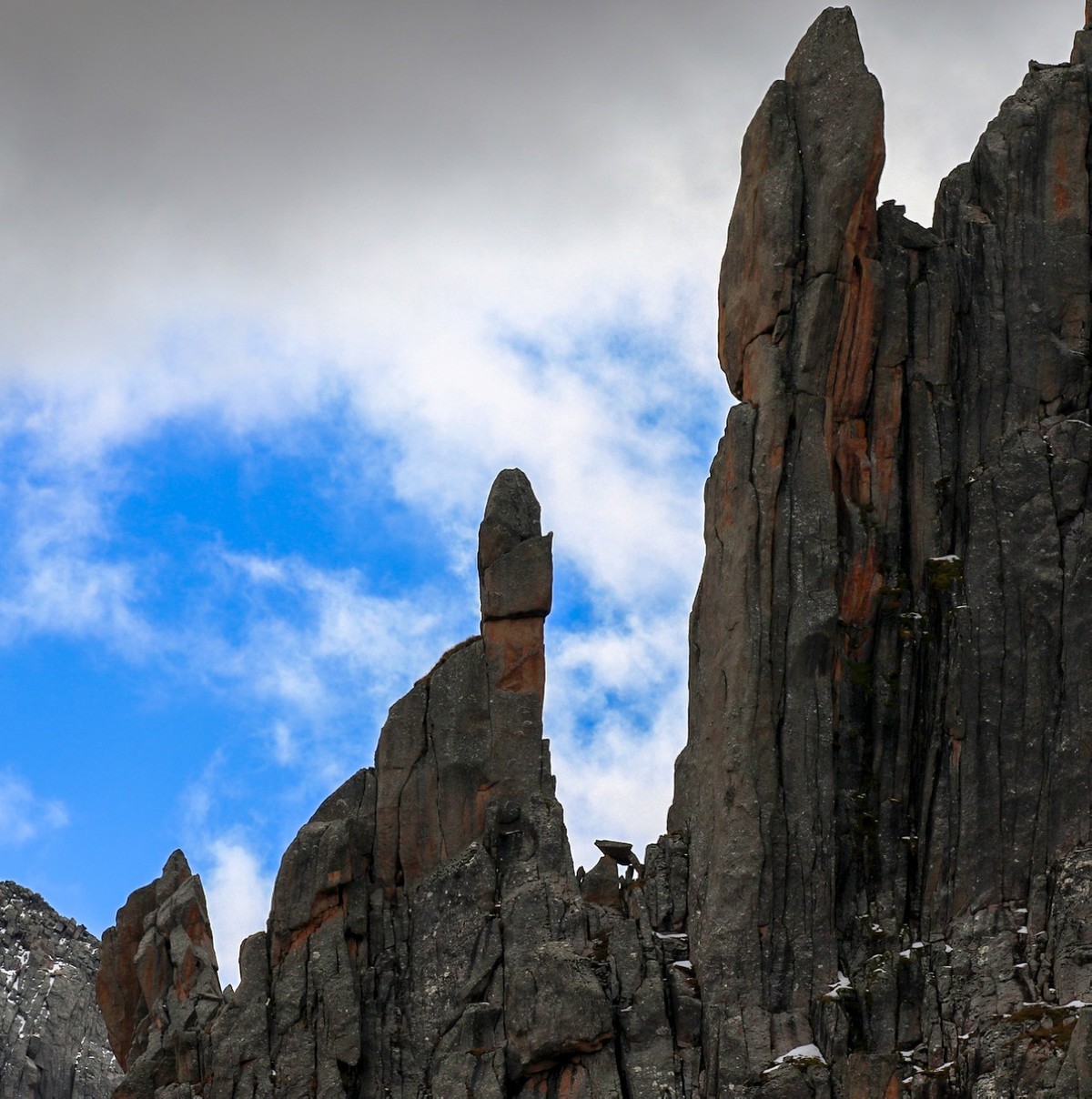 长焦拍了几张莲宝叶则