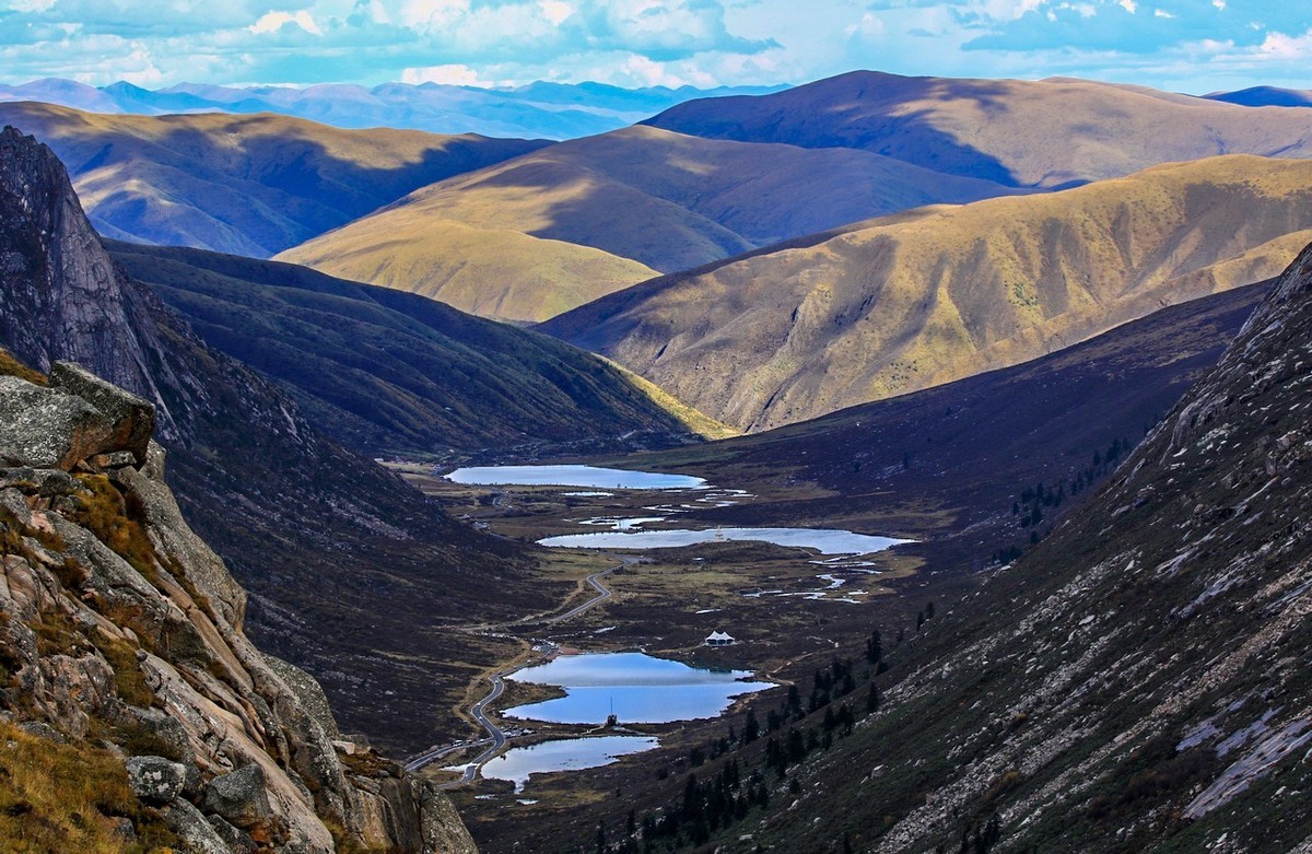 长焦拍了几张莲宝叶则