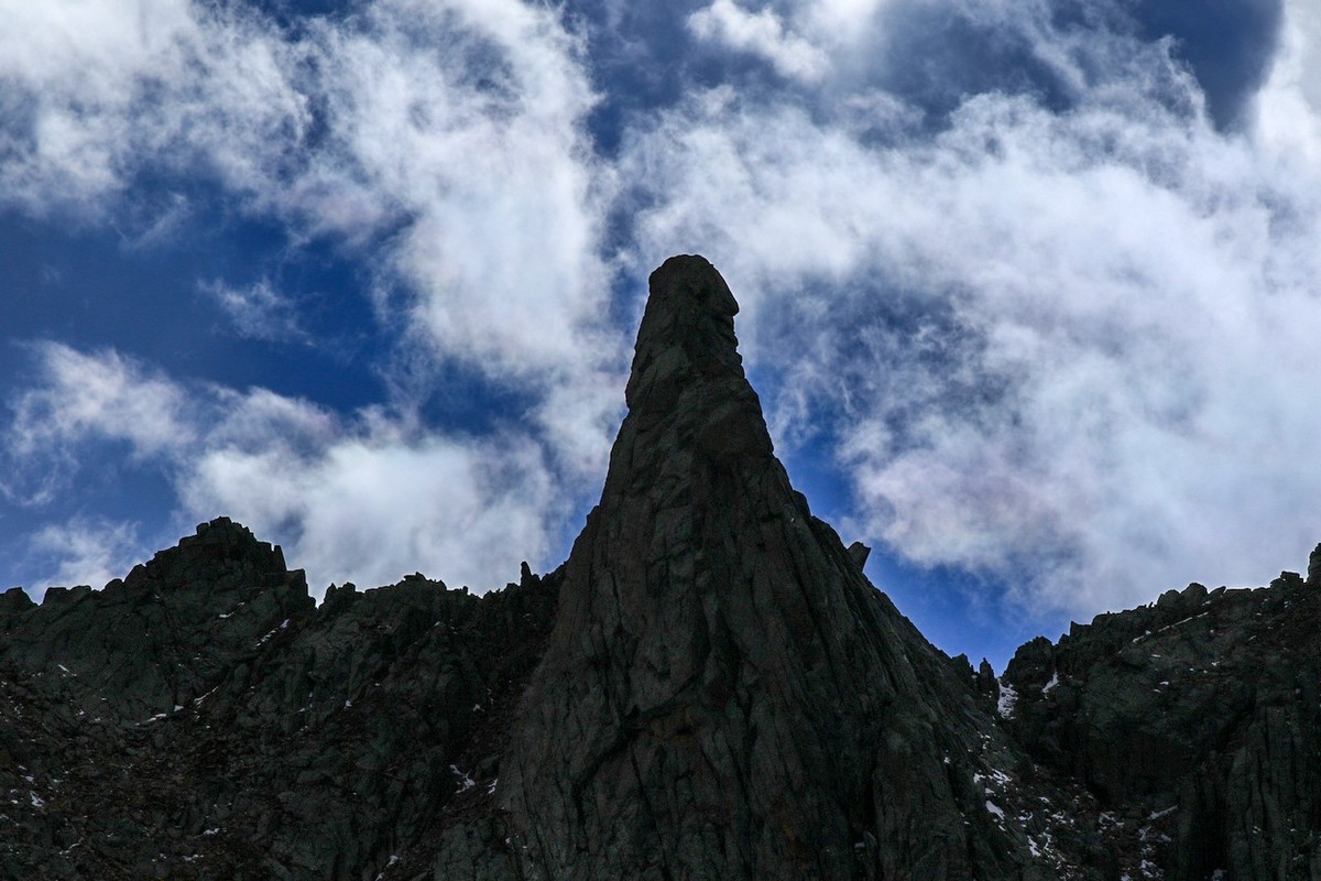 长焦拍了几张莲宝叶则