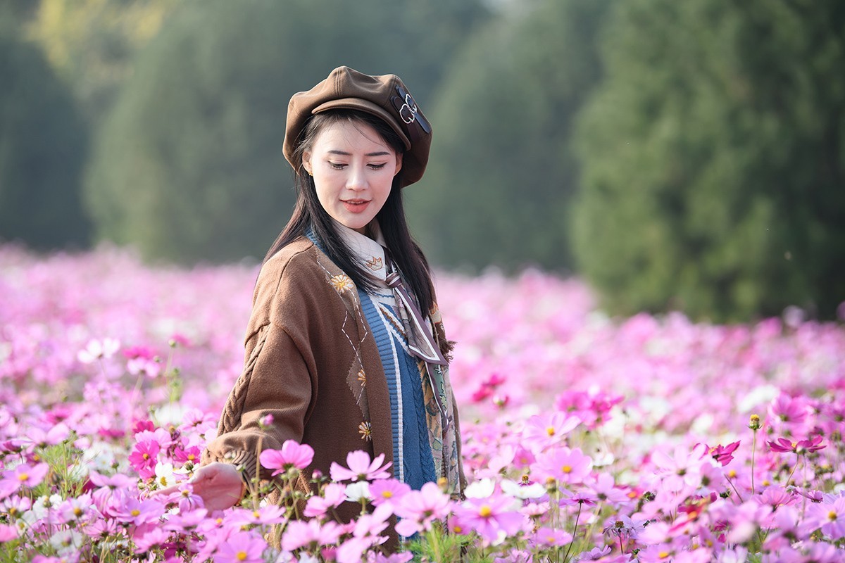 格桑花海俏佳丽