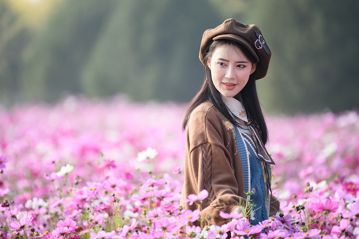 格桑花海俏佳丽