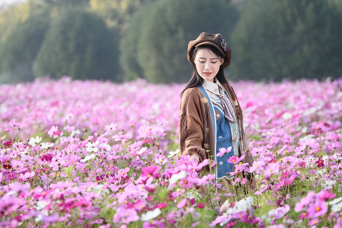 格桑花海俏佳丽