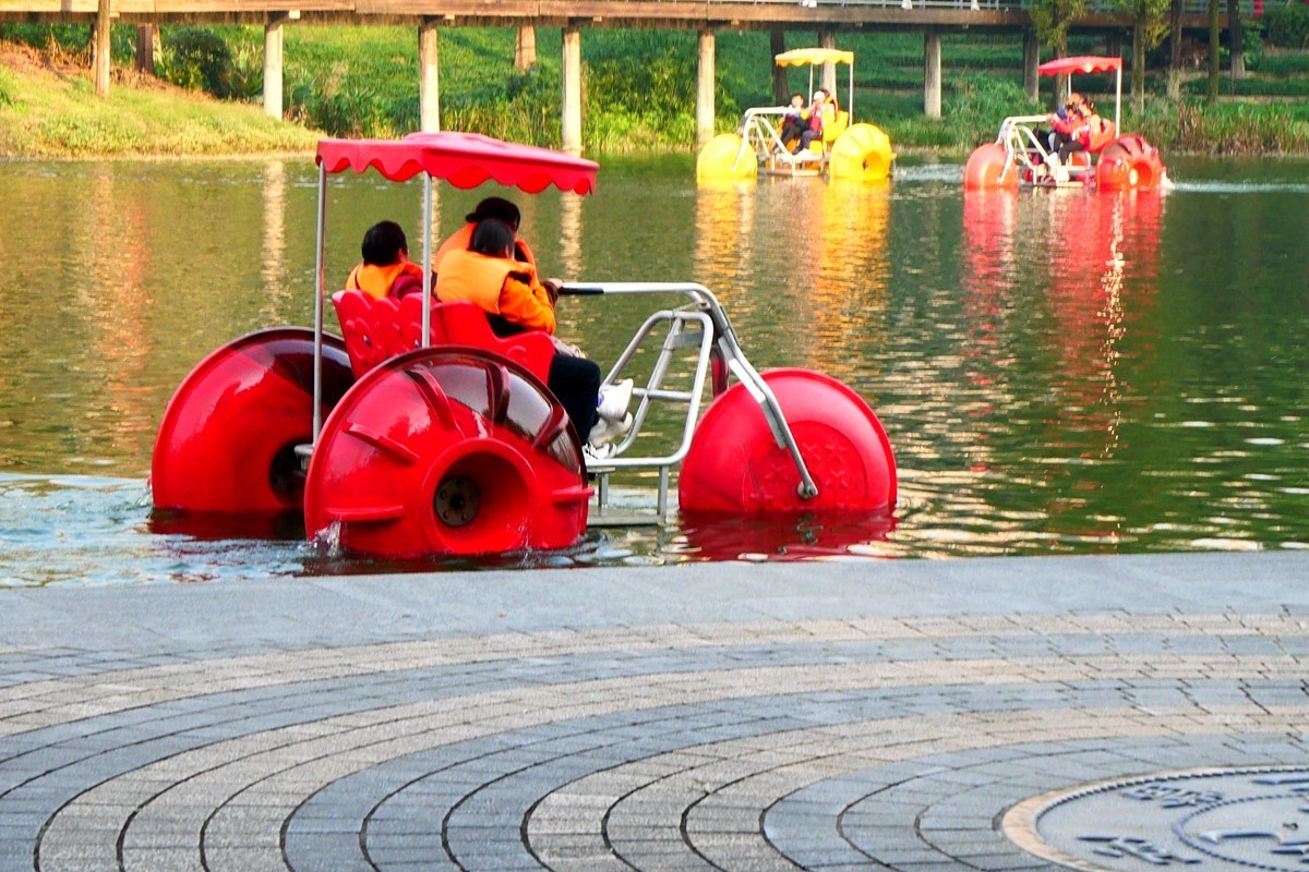 初冬融侨公园（七）完