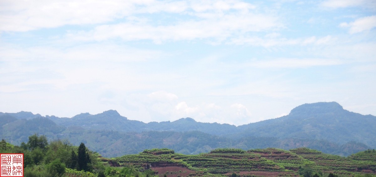 路过宜宾随拍之四