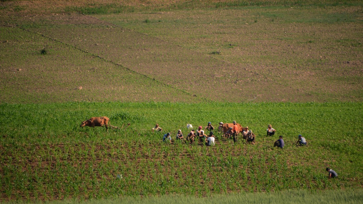 “醉”美边防路第三站：临江（2）