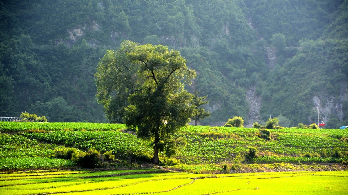 “醉”美边防路第三站：临江（2）