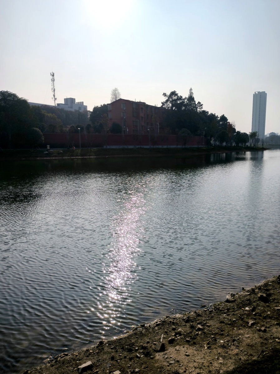 漫步星城 走街串巷（508）东湖野趣