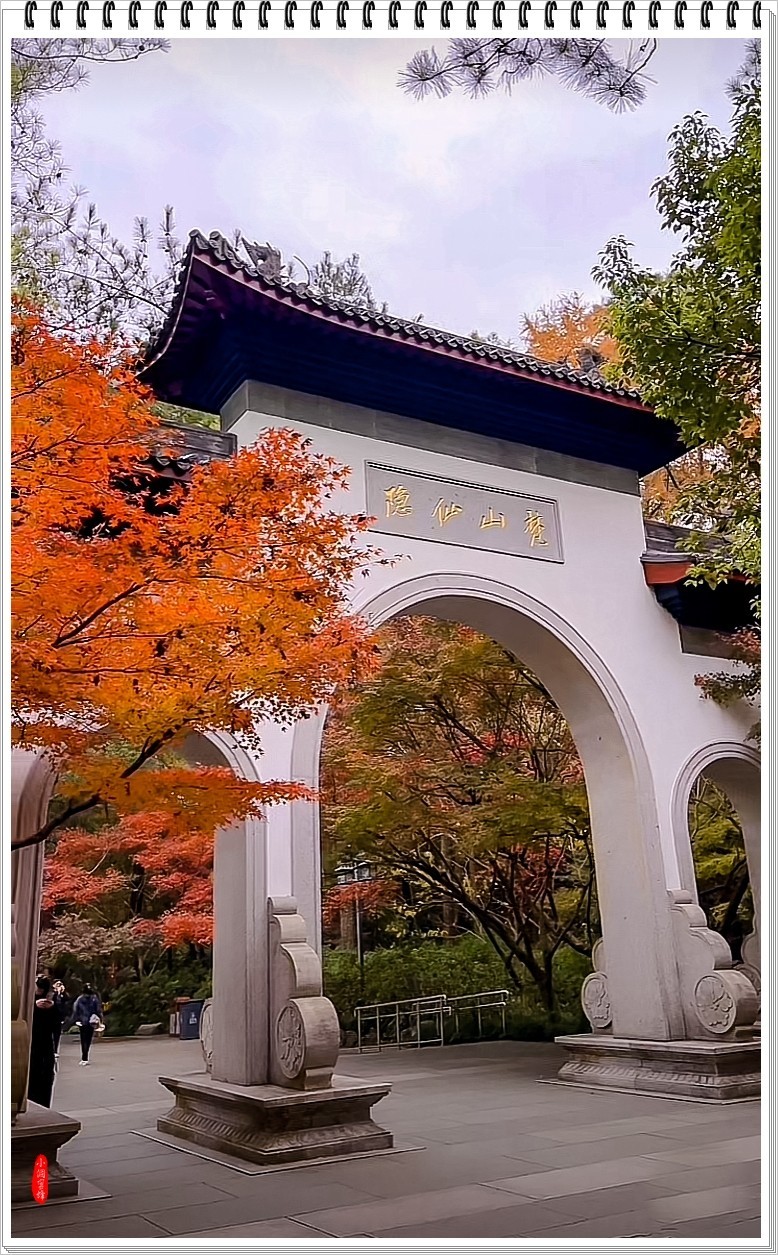 2024年- 江南好风光纪实抓拍-1081