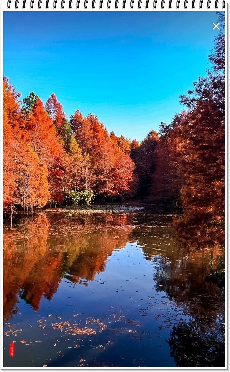 2024年- 江南好风光纪实抓拍-1081