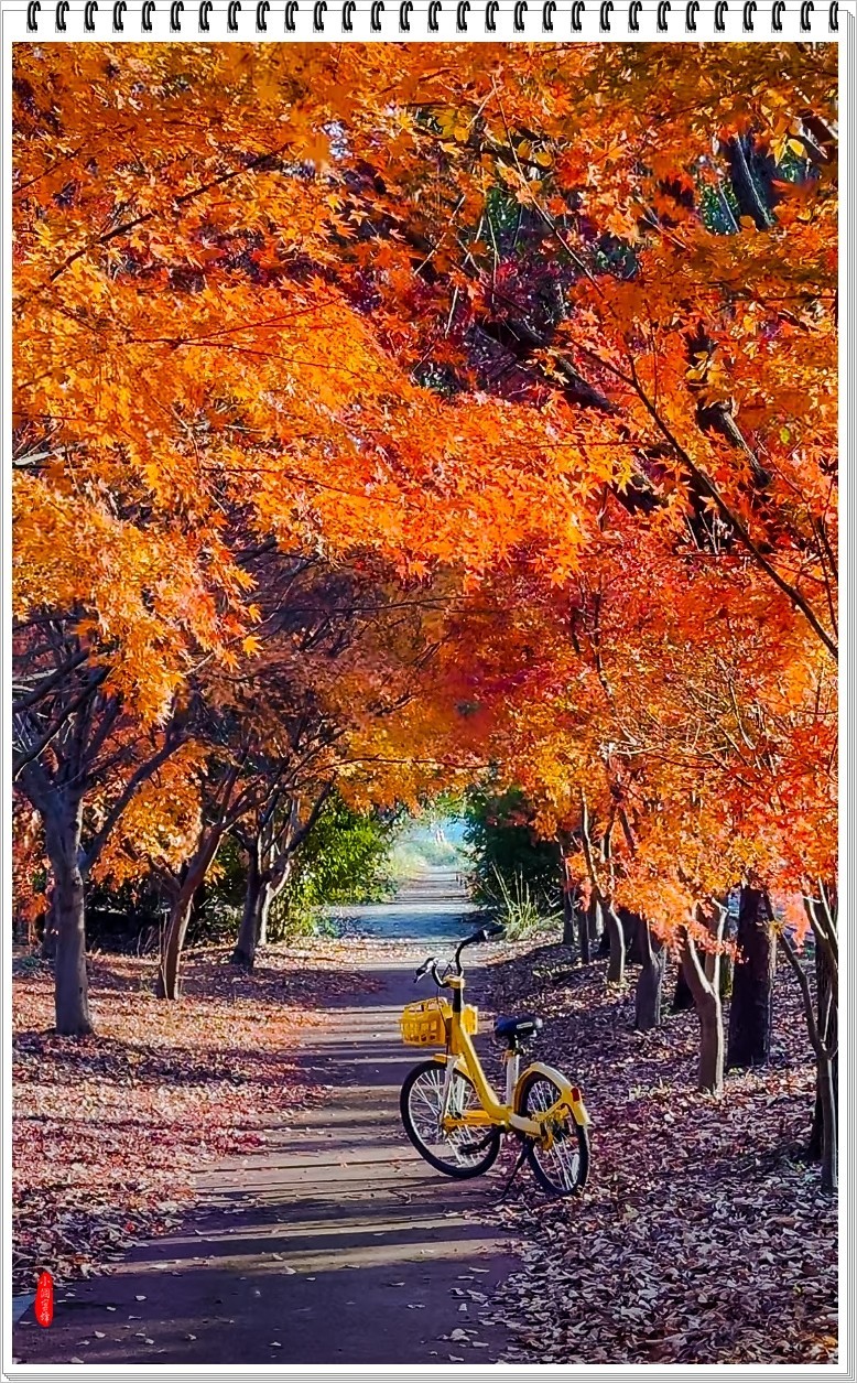 2024年- 江南好风光纪实抓拍-1081