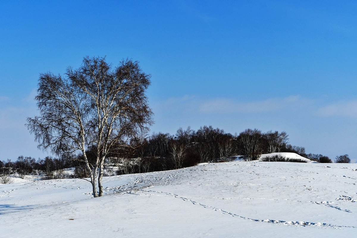 我只是把出去看到的随手记录下来（九十六）