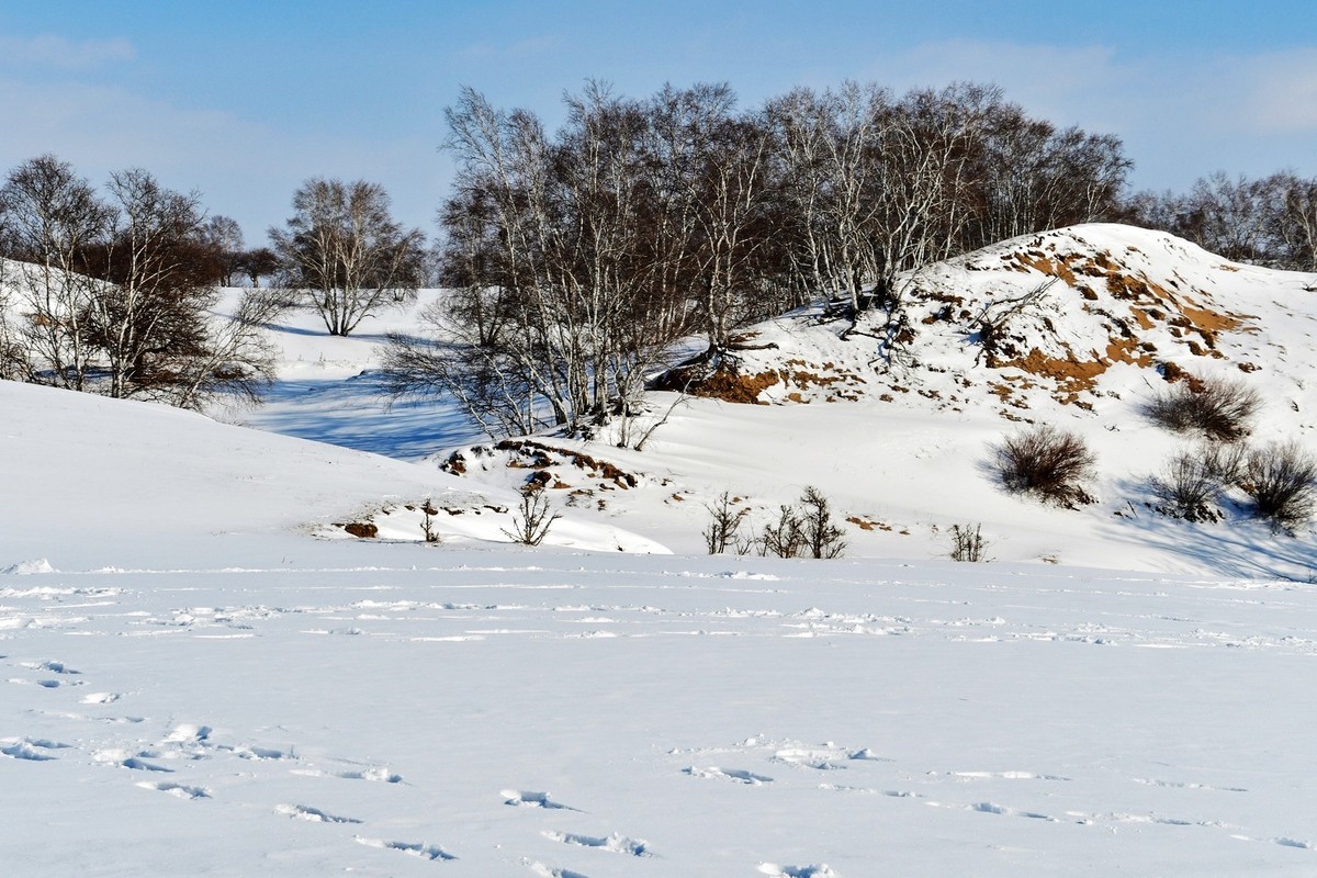 我只是把出去看到的随手记录下来（九十六）