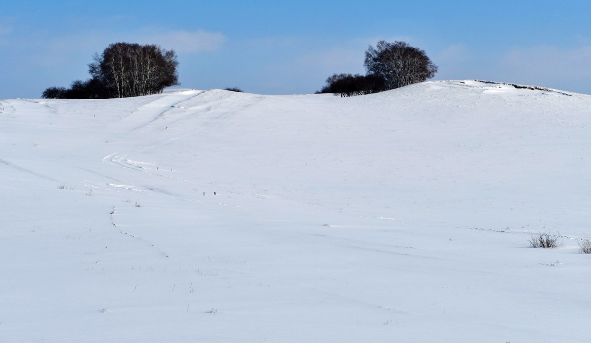 我只是把出去看到的随手记录下来（九十六）