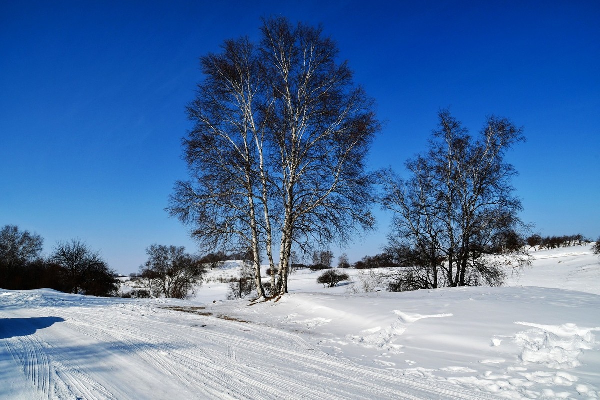 我只是把出去看到的随手记录下来（九十六）