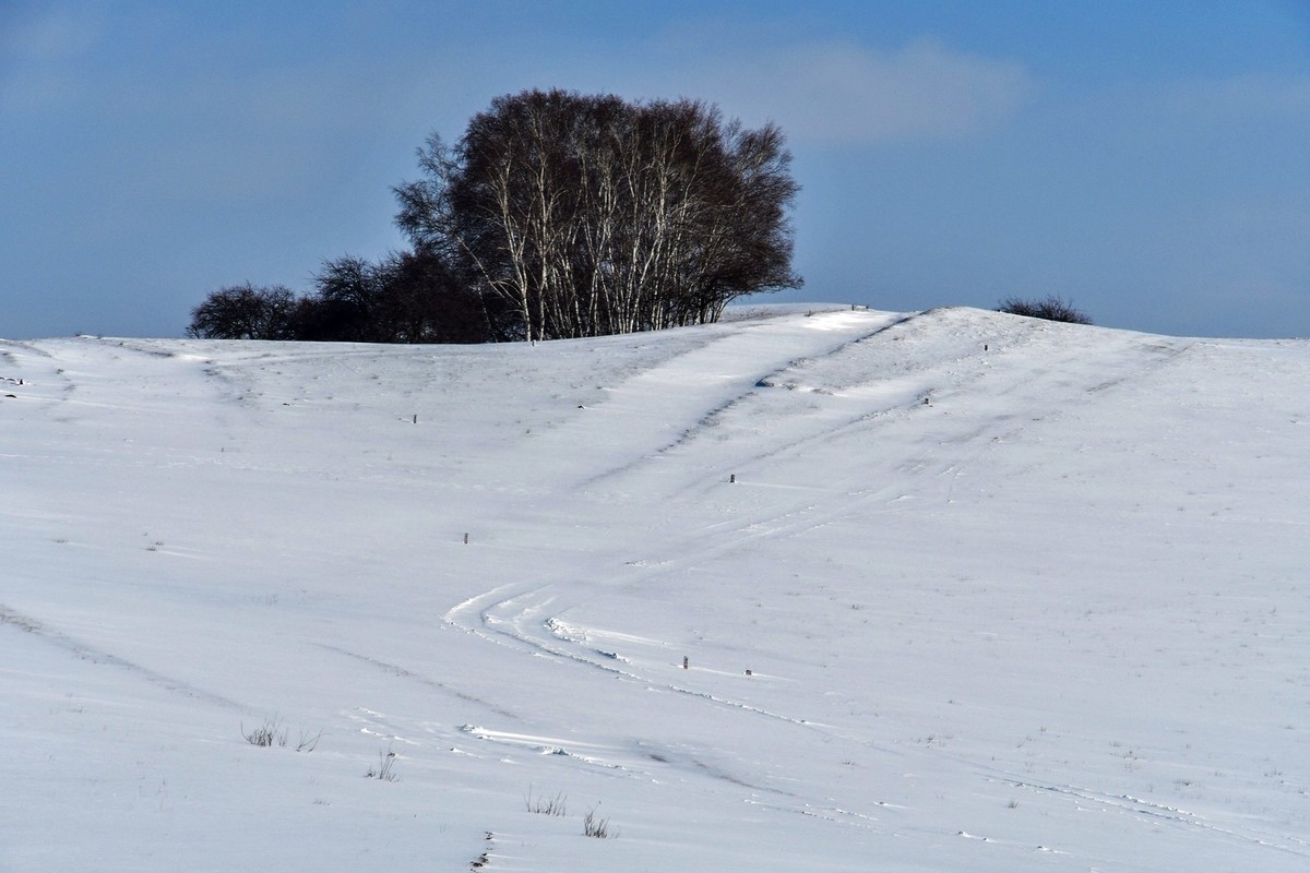 我只是把出去看到的随手记录下来（九十六）