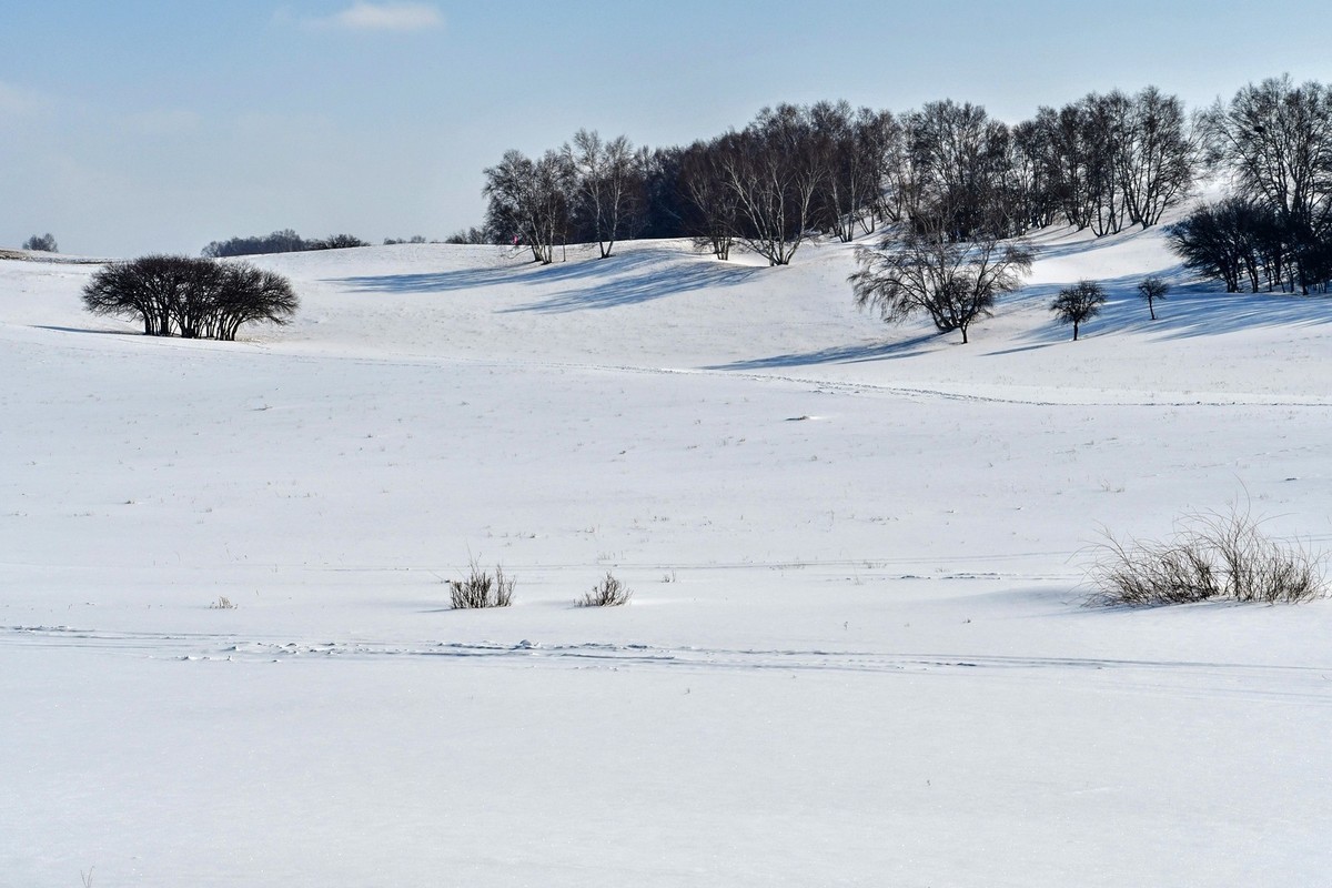 我只是把出去看到的随手记录下来（九十六）