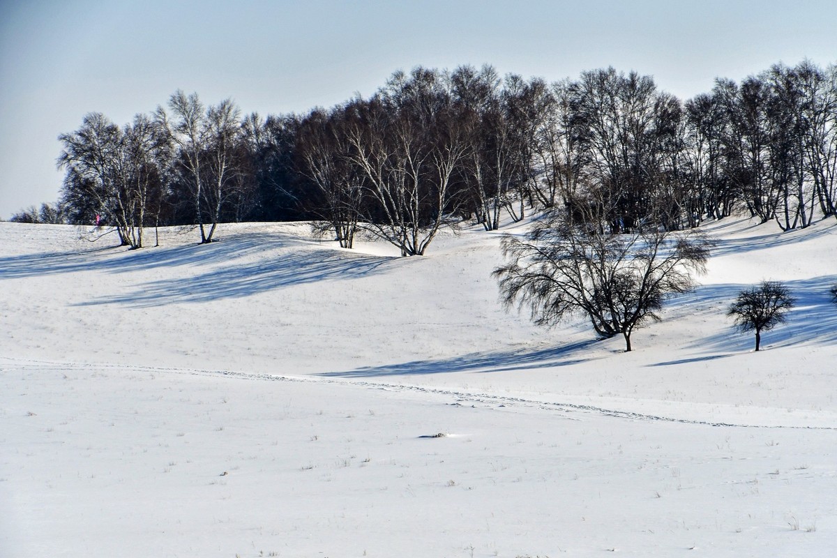 我只是把出去看到的随手记录下来（九十六）