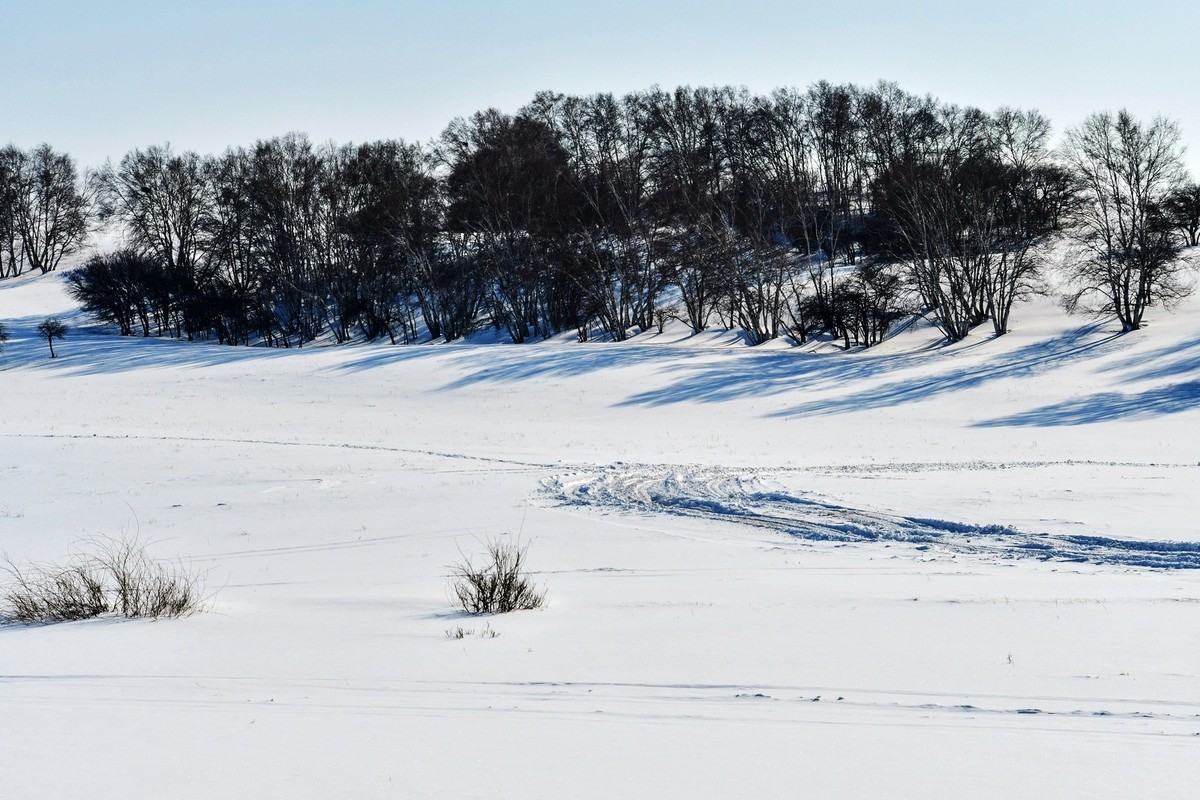 我只是把出去看到的随手记录下来（九十六）