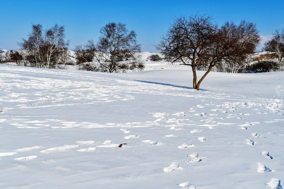 我只是把出去看到的随手记录下来（九十六）