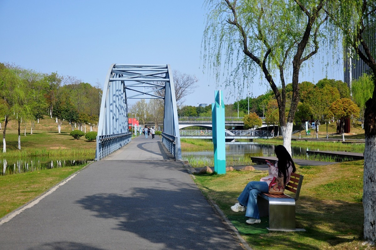 春天的中江公园（续）