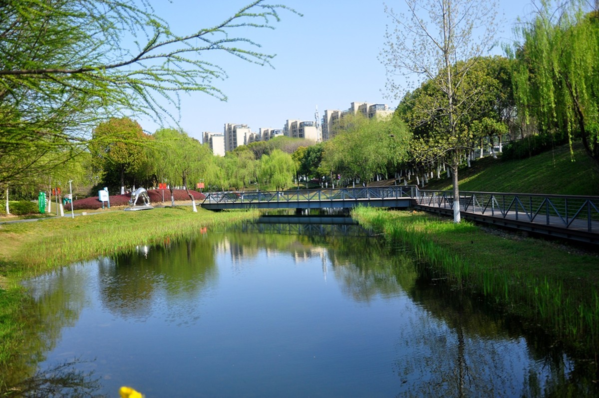 春天的中江公园（续）