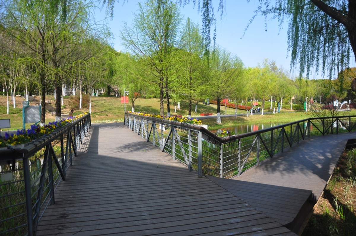 春天的中江公园（续）