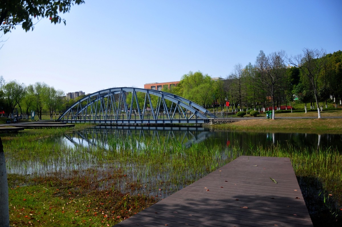 春天的中江公园（续）